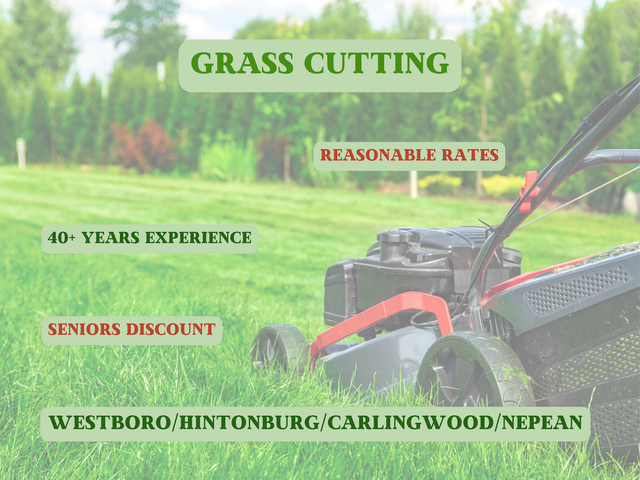 Grass Cutting in Westboro/Hintonburg/Carlingwood/Nepean
