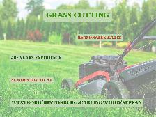 Grass Cutting in Westboro/Hintonburg/Carlingwood/Nepean