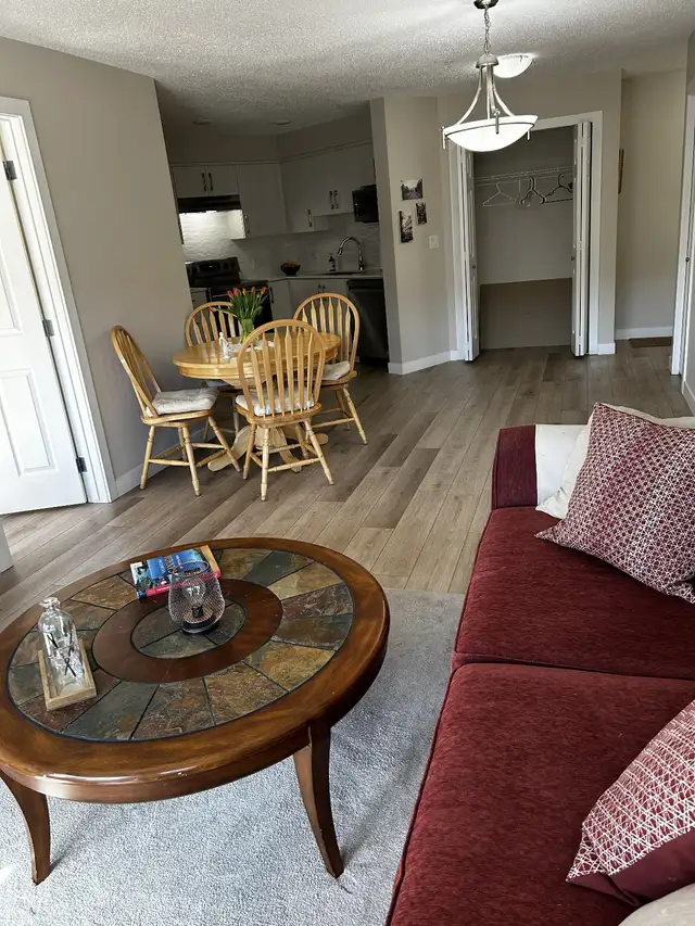 Bright and Modern Apartment in South Edmonton