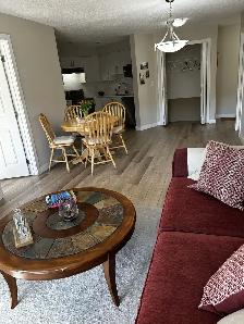 Bright and Modern Apartment in South Edmonton