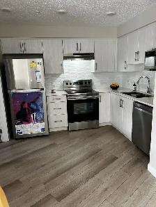 Bright and Modern Apartment in South Edmonton - Photo 2
