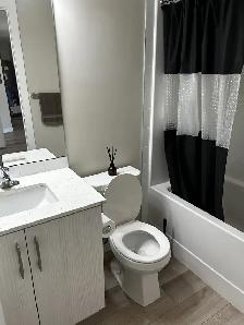 Bright and Modern Apartment in South Edmonton - Photo 10
