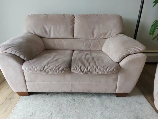 Loveseat $50 - Photo 2
