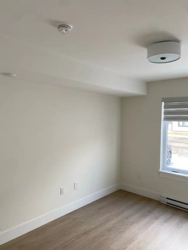 Apartment Move-out Cleaning - Photo 5