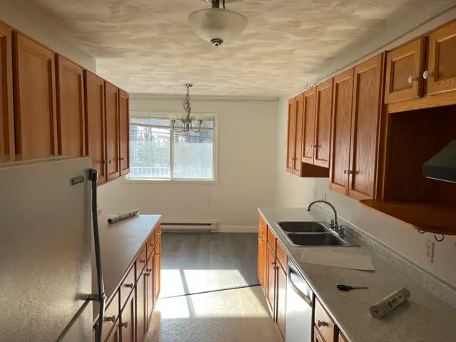 1100 sqft Spacious 2-Bedroom with huge balcony ready Aug.1 - Photo 4