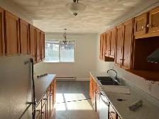 1100 sqft Spacious 2-Bedroom with huge balcony ready Aug.1 - Photo 4