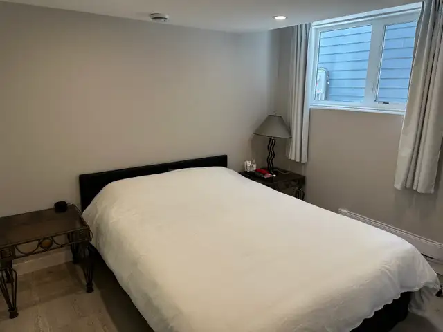 two beds fully furnished legal suite in  walk out Basement - Photo 4