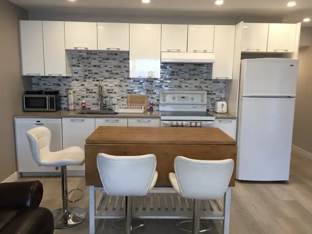 two beds fully furnished legal suite in  walk out Basement - Photo 8