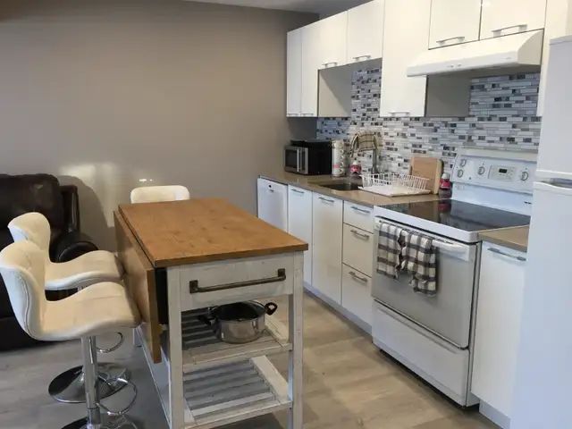 two beds fully furnished legal suite in  walk out Basement - Photo 9