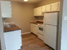 Only $785/Month – Beautiful 2 Bedroom Apartment in Shaunavon - Photo 2