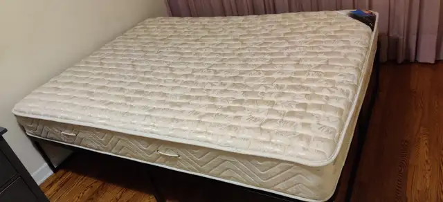 Furnished Room for Rent – Near York University (Keele Campus) - Photo 3