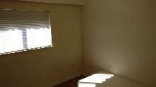 Furnished Room for Rent – Near York University (Keele Campus) - Photo 10