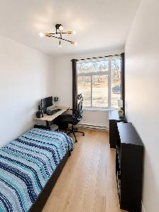 Newly Renovated 4 1/2 Apartment for Rent – Ville-Marie - Photo 14