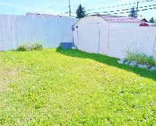 2BR Mn Flr-Best Value!Nwr Ktchn/Bth fencedyard-Quality-PetOK - Photo 3