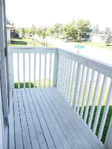 2BR Mn Flr-Best Value!Nwr Ktchn/Bth fencedyard-Quality-PetOK - Photo 6