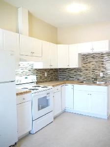 2BR Mn Flr-Best Value!Nwr Ktchn/Bth fencedyard-Quality-PetOK - Photo 10