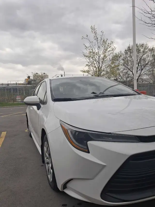 Toyota Corolla LE - Photo 4