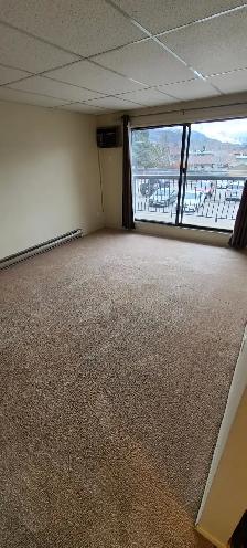 BEAUTIFUL - 1 BEDROOM - CAT FRIENDLY