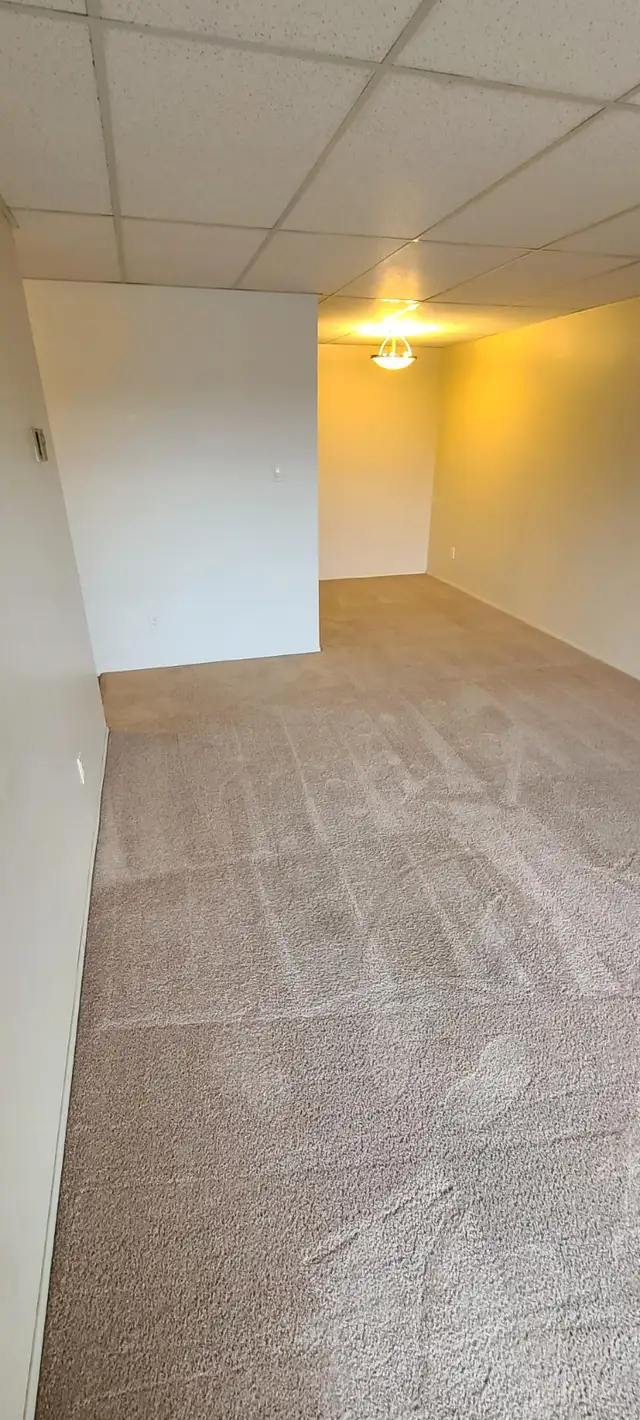 BEAUTIFUL - 1 BEDROOM - CAT FRIENDLY - Photo 2