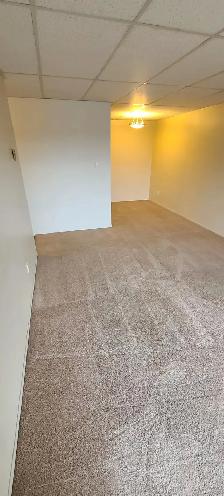 BEAUTIFUL - 1 BEDROOM - CAT FRIENDLY - Photo 2