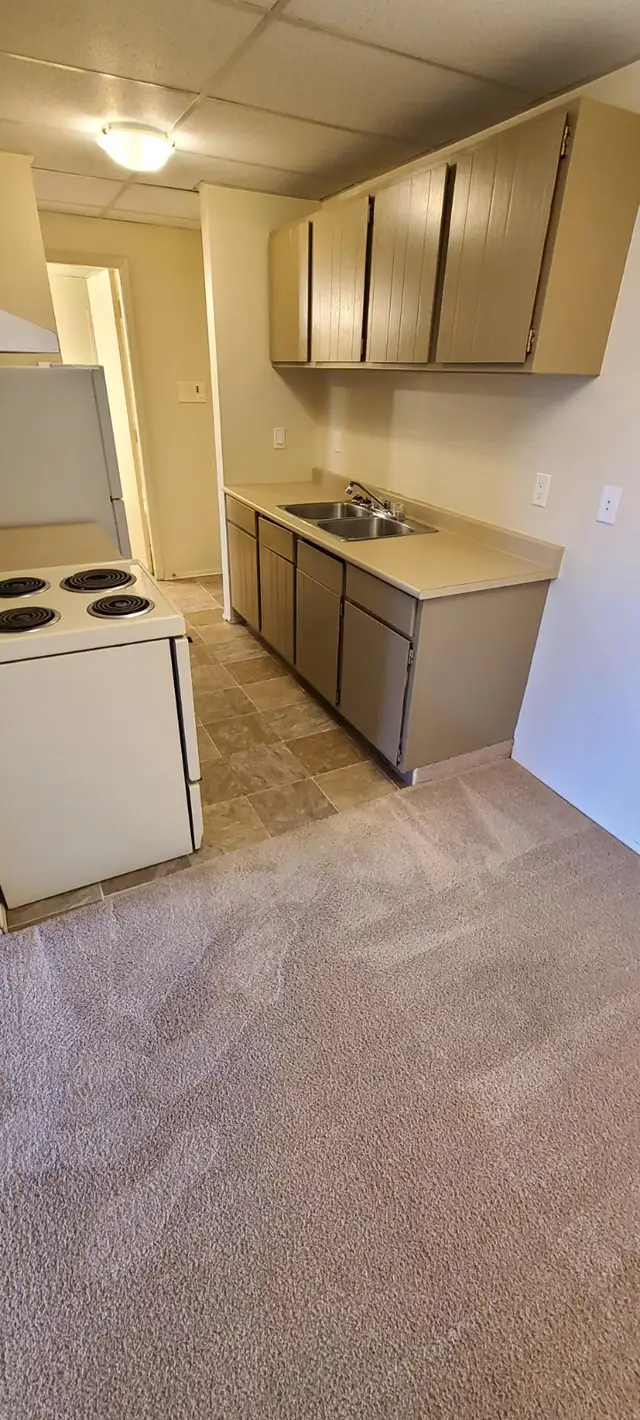 BEAUTIFUL - 1 BEDROOM - CAT FRIENDLY - Photo 3