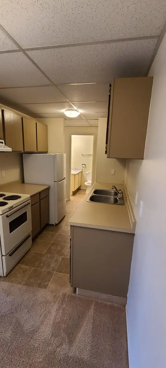BEAUTIFUL - 1 BEDROOM - CAT FRIENDLY - Photo 4