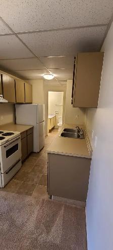 BEAUTIFUL - 1 BEDROOM - CAT FRIENDLY - Photo 4