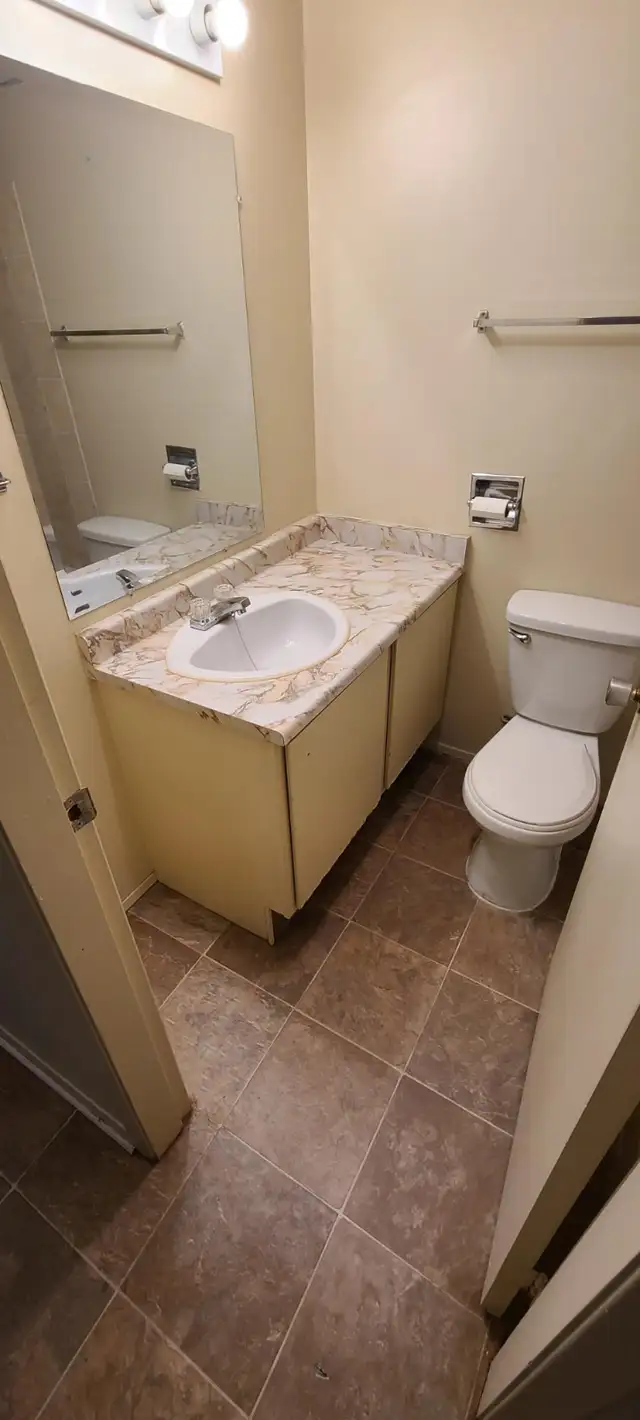 BEAUTIFUL - 1 BEDROOM - CAT FRIENDLY - Photo 5