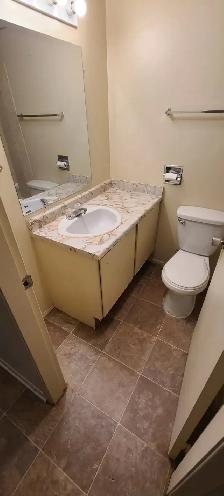 BEAUTIFUL - 1 BEDROOM - CAT FRIENDLY - Photo 5