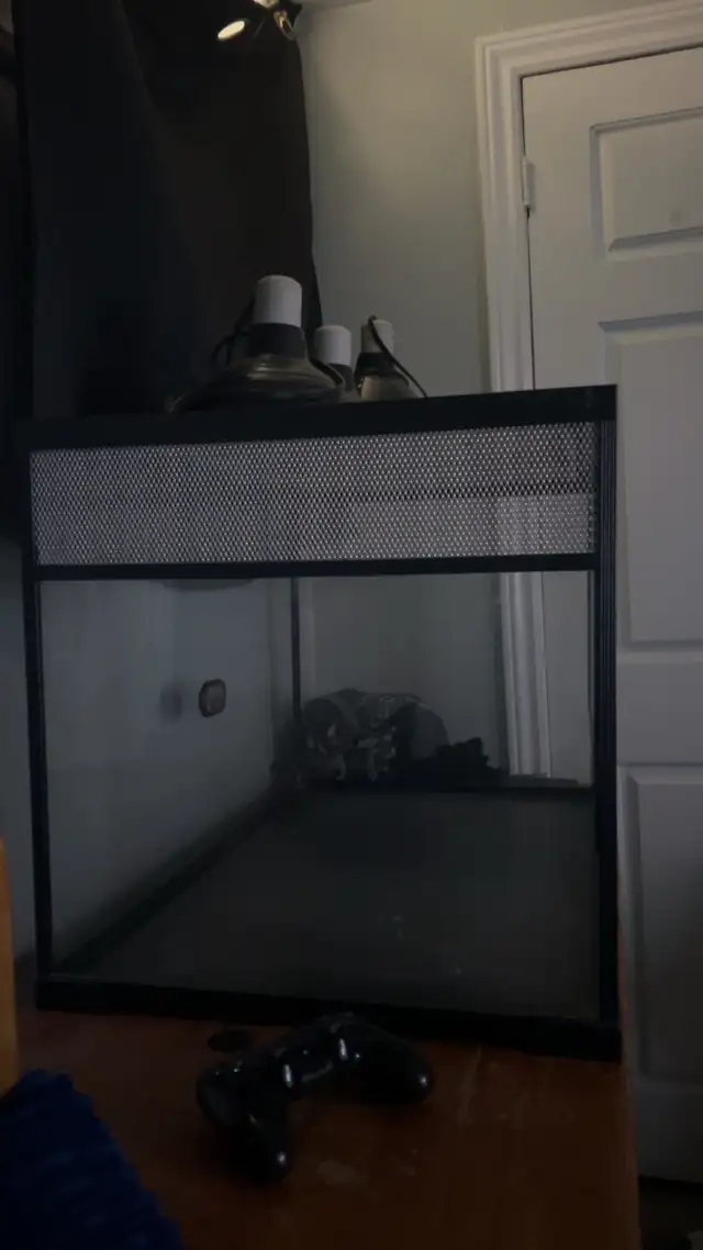 Lizard Tank / Enclosure - Photo 2