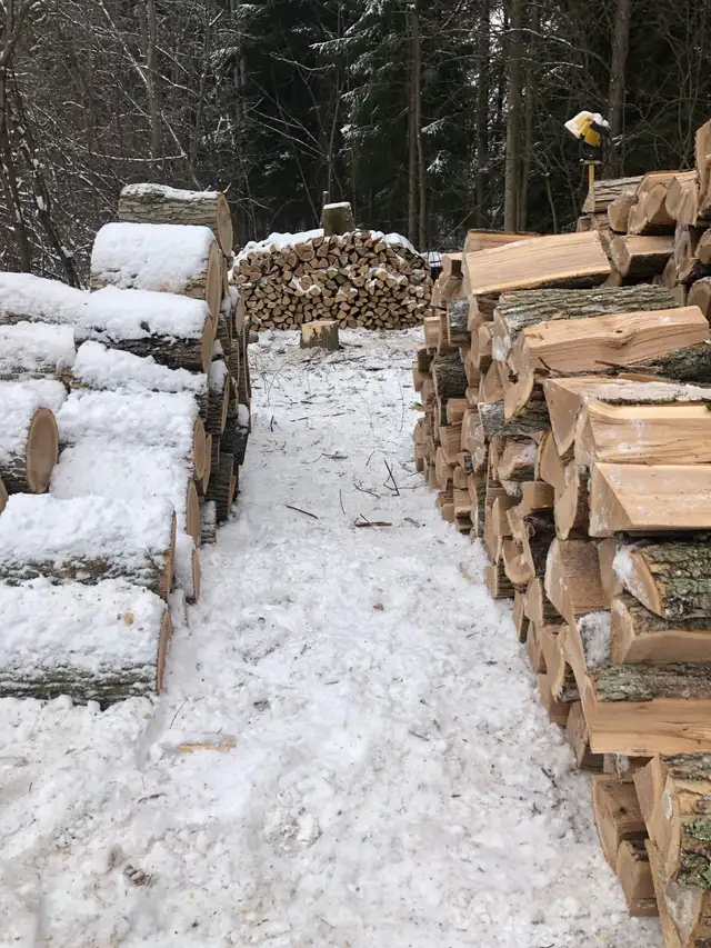 Bulk firewood - Photo 4