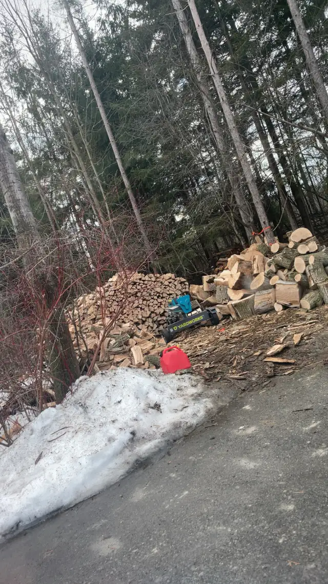 Bulk firewood - Photo 7