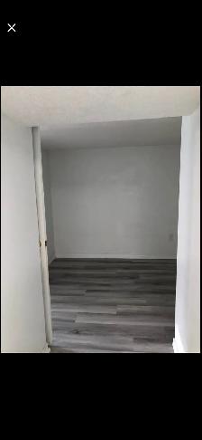 2 Bed Room 1 Bathroom Basement - Photo 4