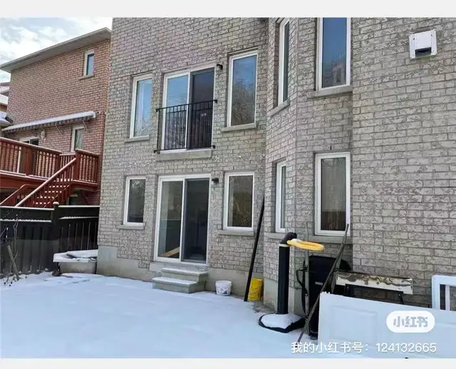 Markham Rd/Steeles Walkout Basement For Rent