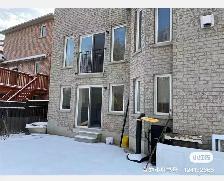 Markham Rd/Steeles Walkout Basement For Rent