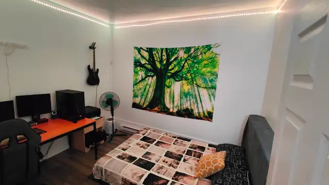 Big and bright 4 1/2 apartment with 2 closed bedrooms
