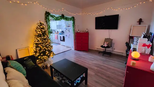 Big and bright 4 1/2 apartment with 2 closed bedrooms - Photo 8