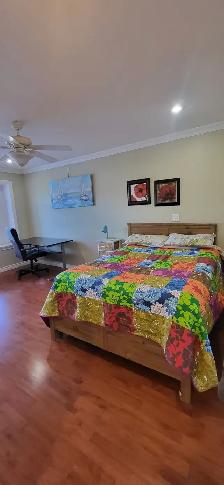 furnished room/walk in closet/private bath near Royal Oak Skytra