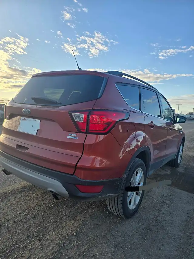 2019 Ford Escape SEL - Photo 4