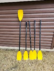 boat paddles
