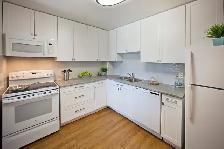 2 Bdrm. Apt. for Rent in with In-suite Laundry! - Photo 3