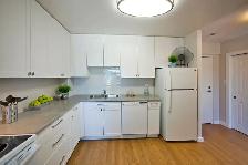 2 Bdrm. Apt. for Rent in with In-suite Laundry! - Photo 4