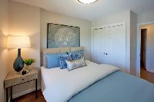 2 Bdrm. Apt. for Rent in with In-suite Laundry! - Photo 13