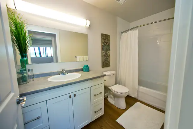 2 Bdrm. Apt. for Rent in with In-suite Laundry! - Photo 14