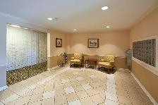 2 Bdrm. Apt. for Rent in with In-suite Laundry! - Photo 17