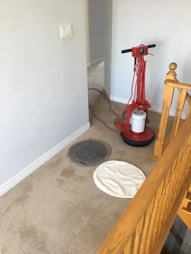 The Fresh Home Carpet,Rug and Couch_Cleaning - Photo 4