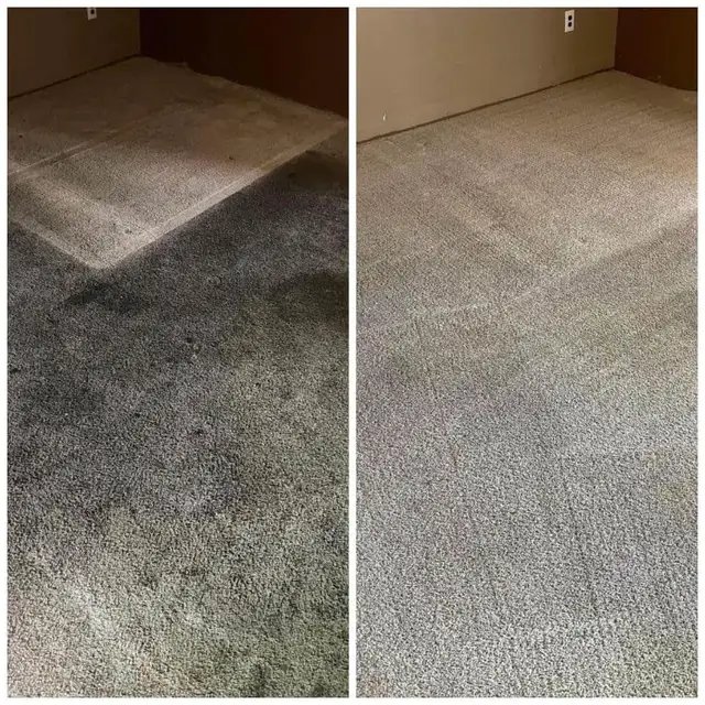 Perfect Home Carpet And Couch,Upholstery_Cleaning - Photo 2