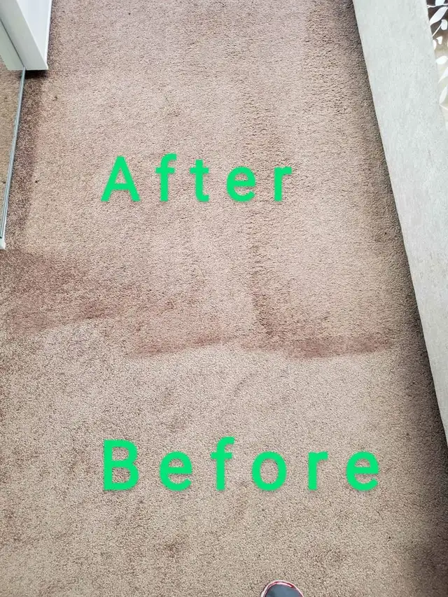Perfect Home Carpet And Couch,Upholstery_Cleaning - Photo 4