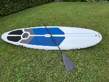 SUP Paddle Board- Brand New  – Plastic!