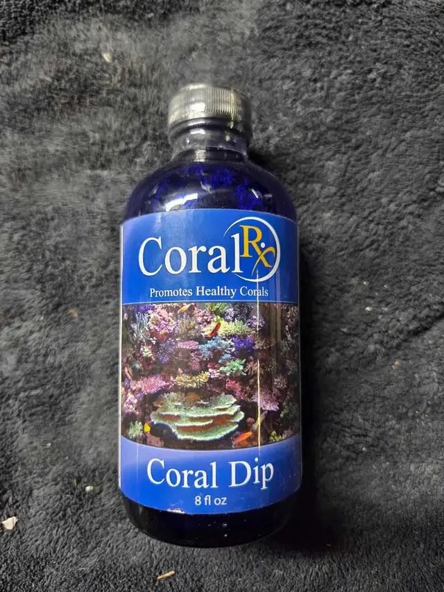 CORAL DIP - CHEAP